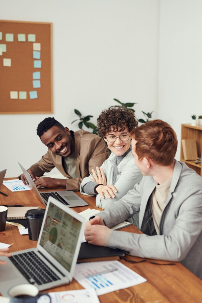 Seo Werbeagentur Bamberger Werbeagentur Braunschweig